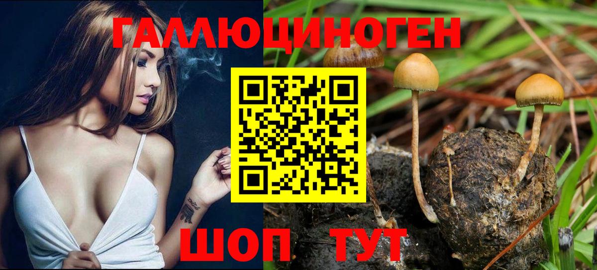 Экстази  LSD-25  Георгиевск  КОКАИН  Гашиш  Вход с VPN  Бошки Шишки  МЕФ кристаллы  ГАШИШ  MDMA  ТГК 